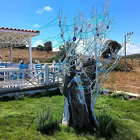 Mylos Hotel Tenedos
